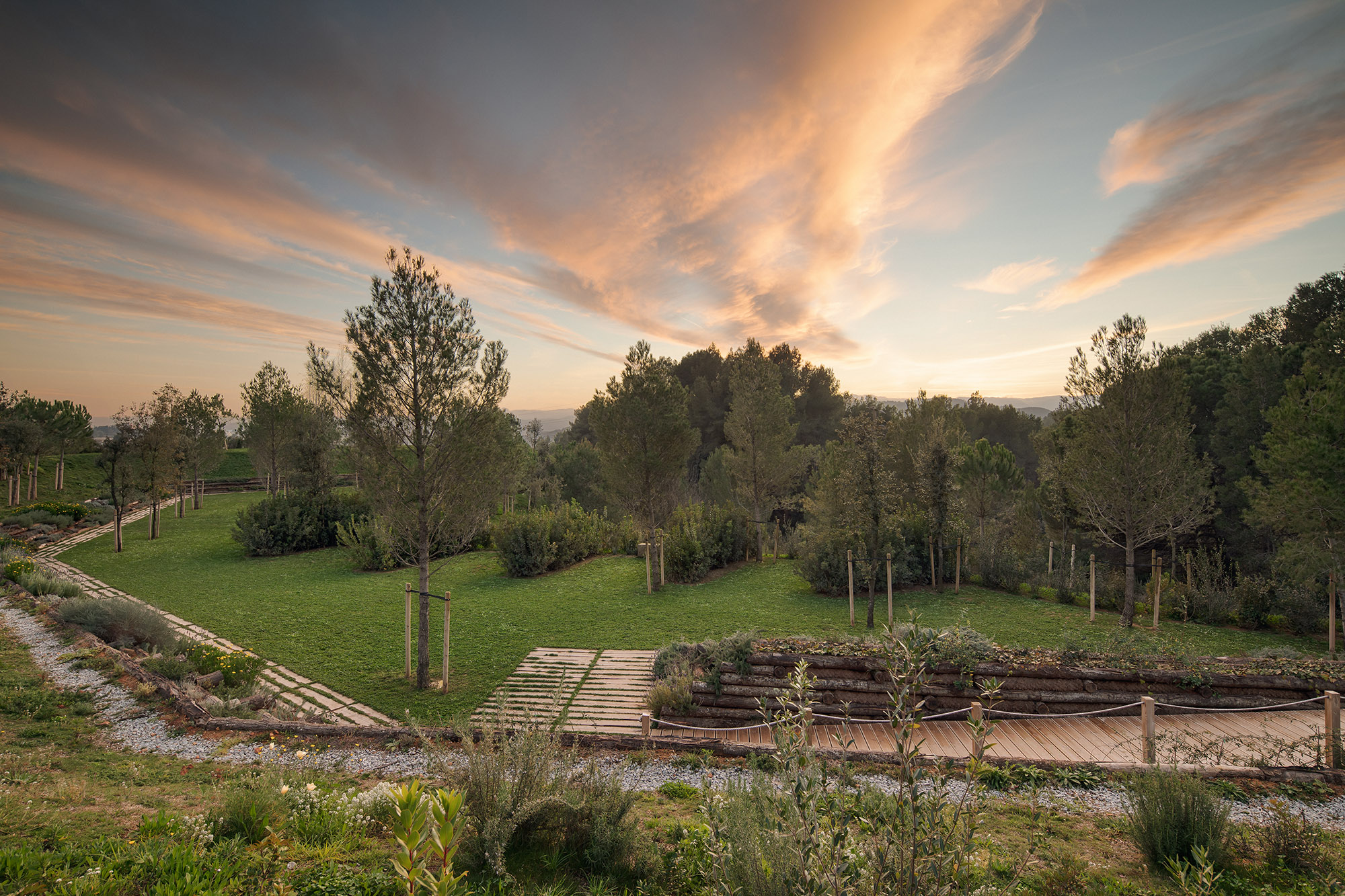 森林之徑，西班牙Roques Blanques公墓擴(kuò)建區(qū)景觀設(shè)計(jì) | BATLLE I ROIG