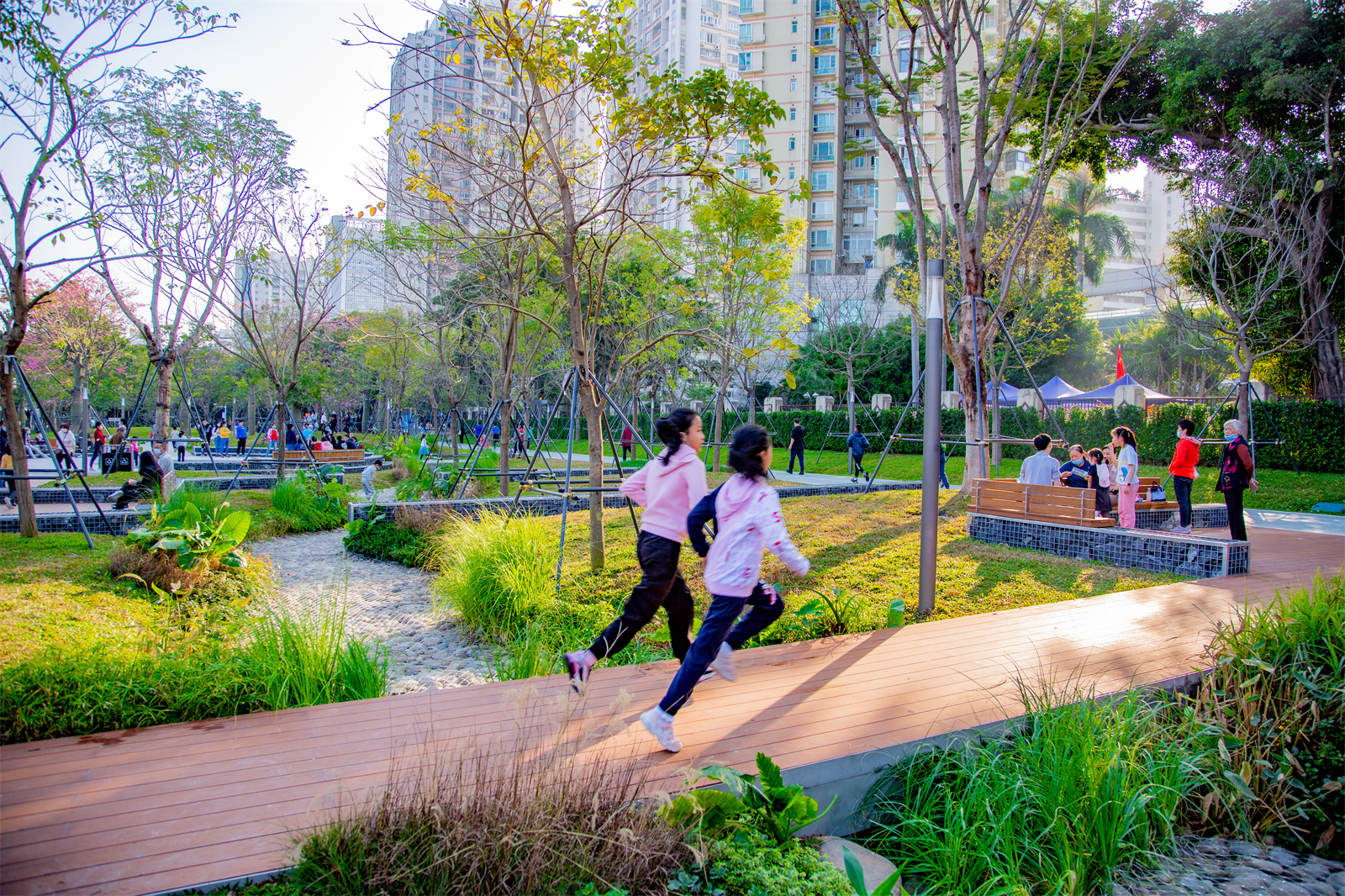 上步綠廊公園帶景觀設計 | 深圳市城市交通規劃設計研究中心