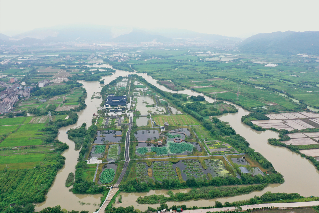 圩田濕地生境修復案例：浙江鑒洋湖濕地公園首啟區(qū) | AECOM