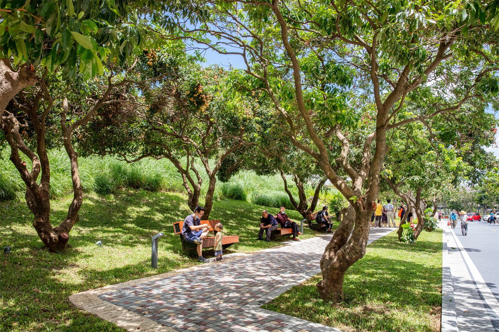 西麗生態公園工程景觀設計 | 深圳園林股份有限公司