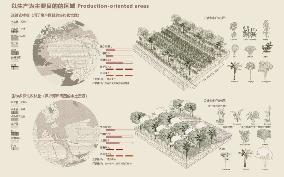 從沖突到融合：基于農牧林復合土地利用的巴西雨林景觀修復 | 吳麗紅、邵家軒、楊博涵、孫膺淇、朱紫薇