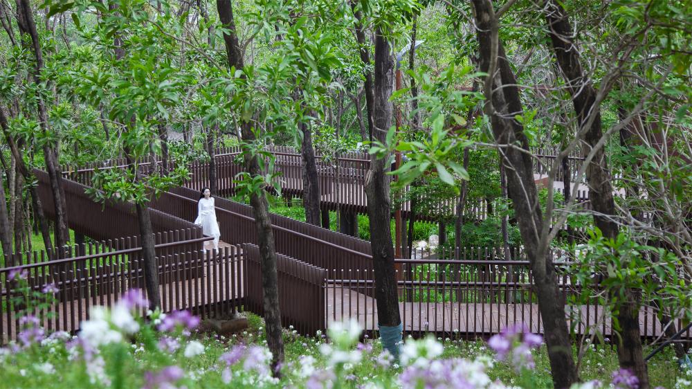 深圳南山區僑城北公園 | 文科股份