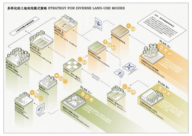 從沖突到和諧：坎佩切州農業、蜜蜂與森林共生系統的構建策略 | 蔣帥、廖天威、胡瀚宇、于騰飛