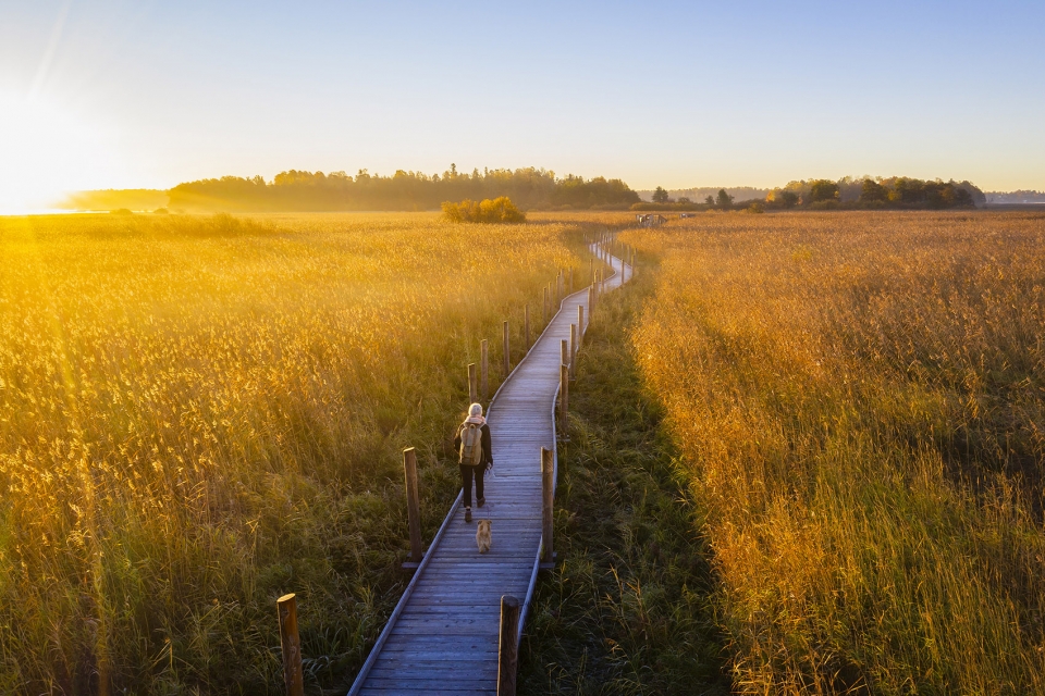 003-nattours-accessible-recreational-path-by-studio-puisto-architects-960x640.jpg