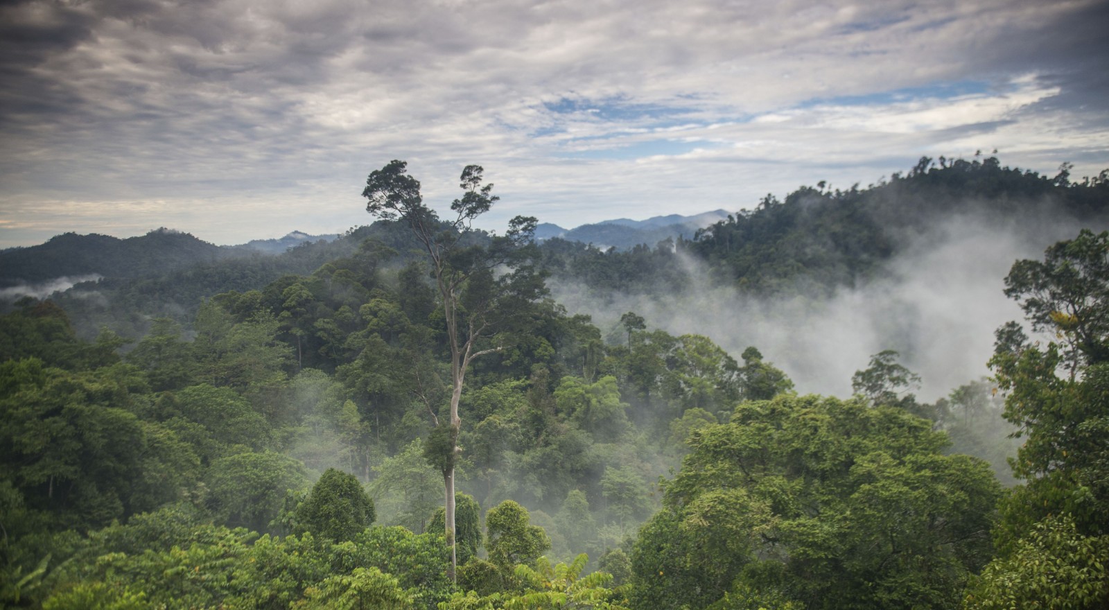 East-Kalimantan-Indonesia.jpg