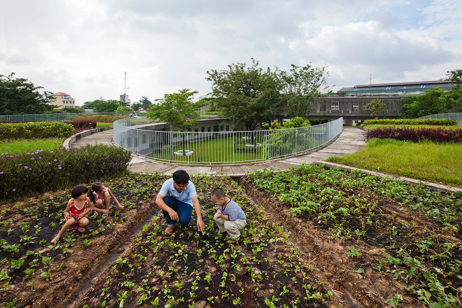 18_experimental_vegetable_garden.jpg