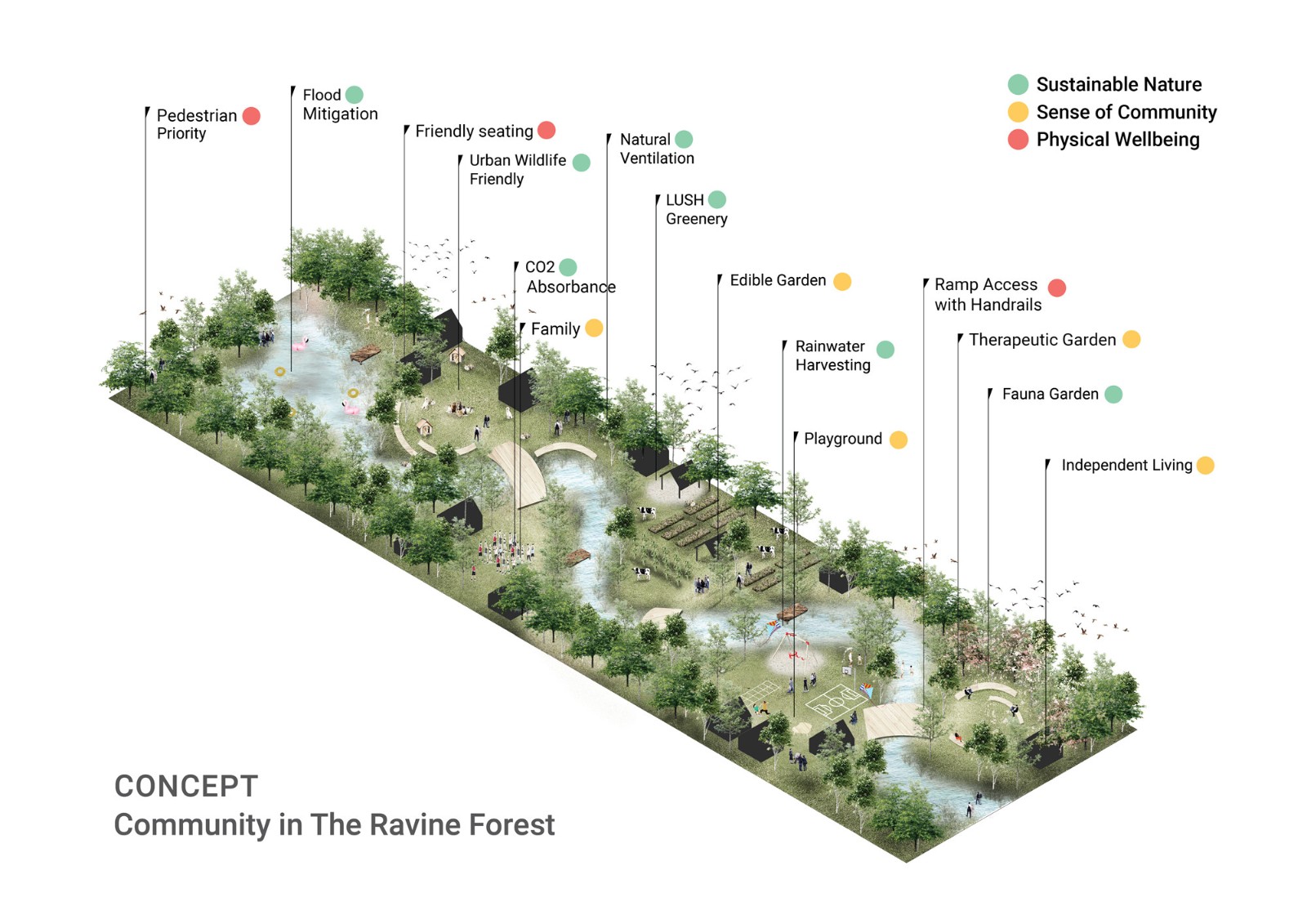 D03_Community in the ravine forest.jpg