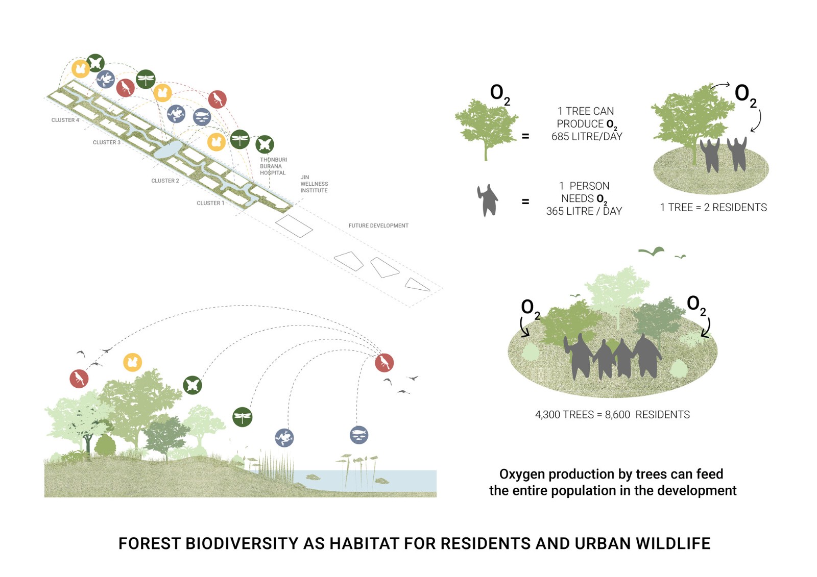 D08_Biodiversity.jpg