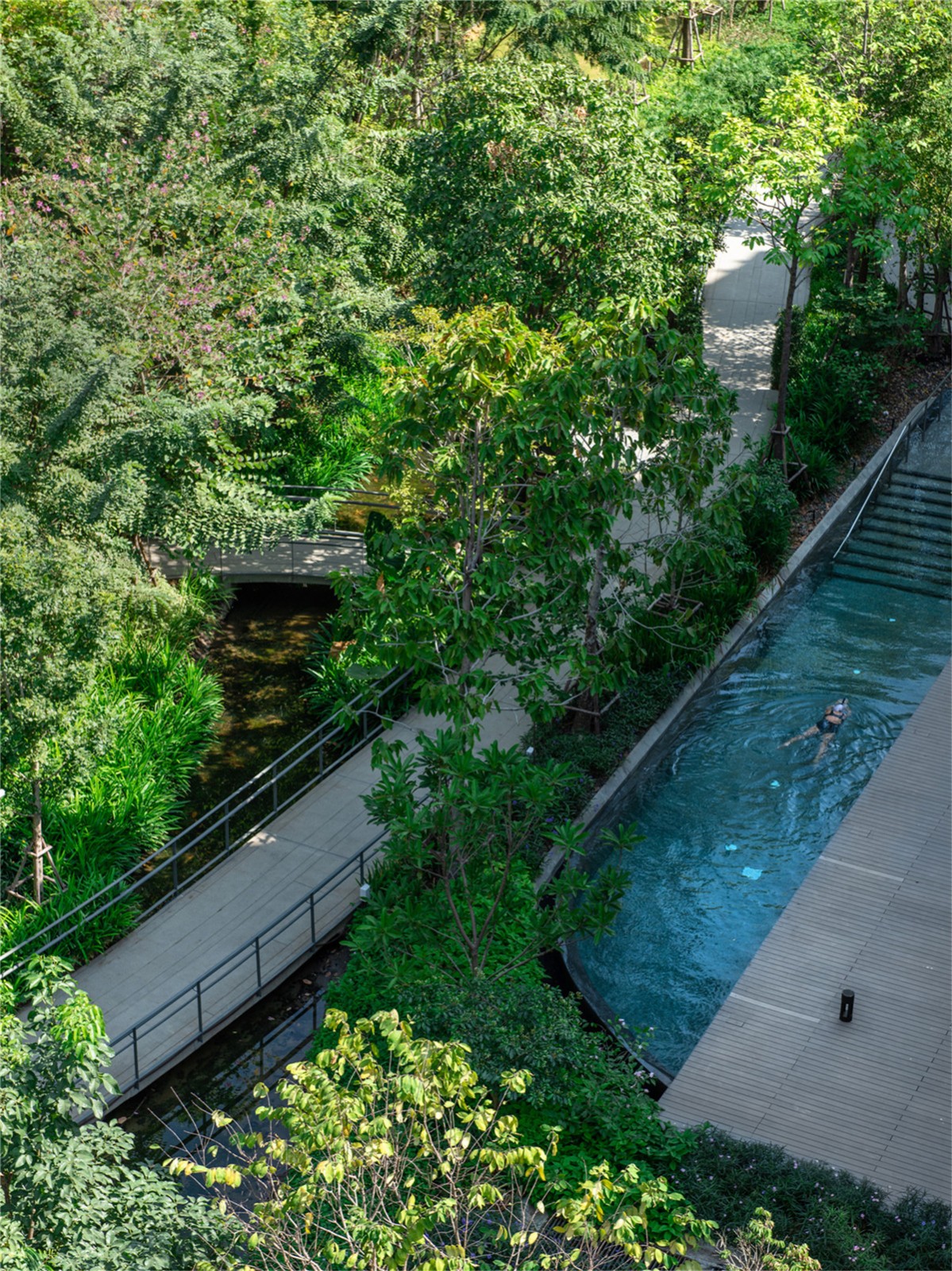 P11_Exercising in the pool amidst greenery.jpg