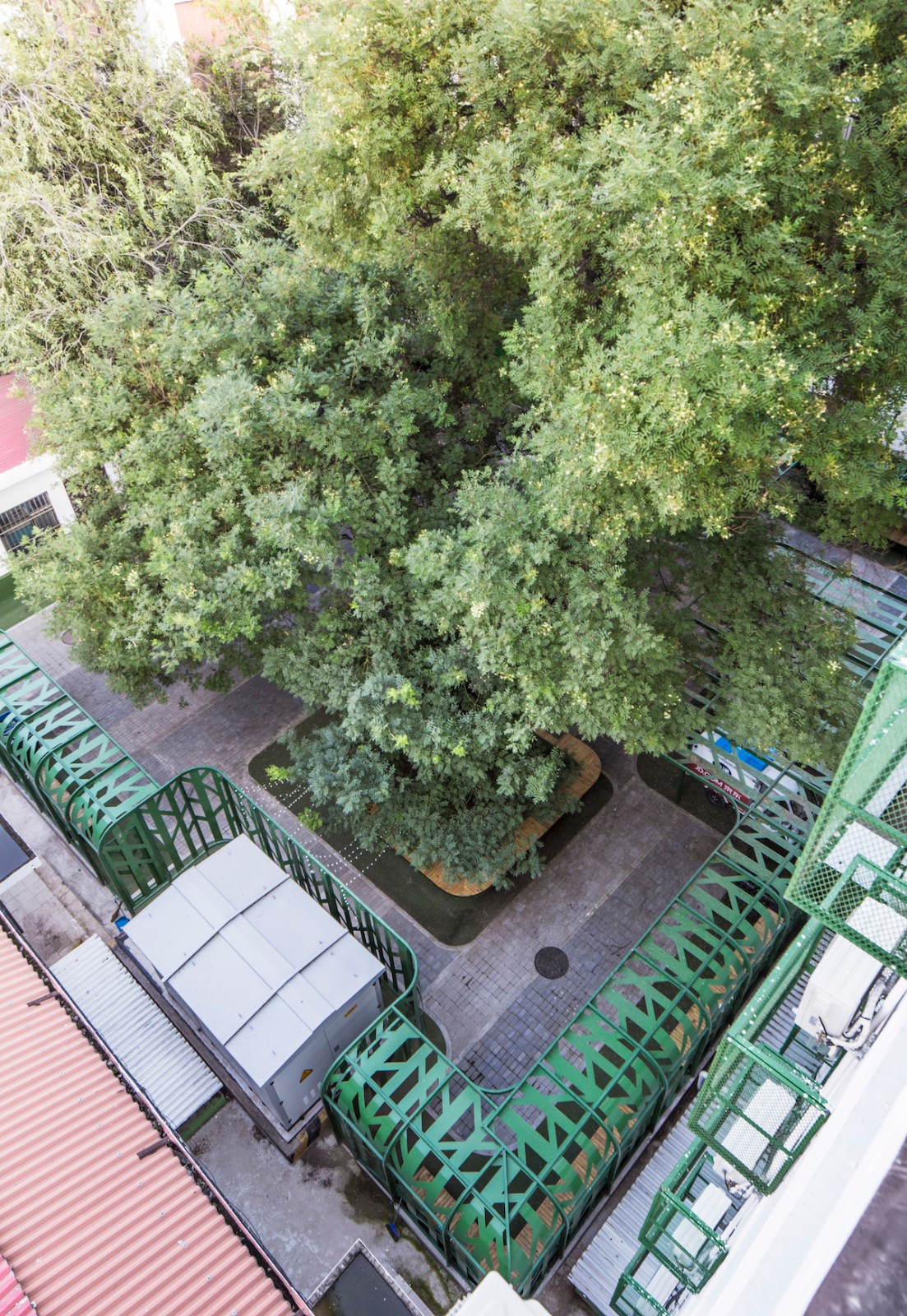 MAT_tree courtyard_photo_aerial view.jpg