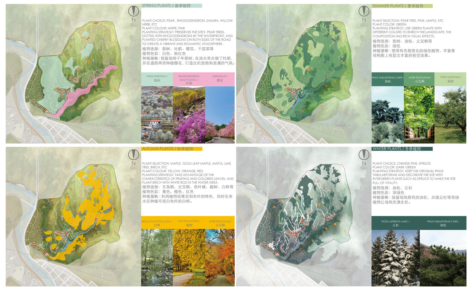 景觀四季植被設計landscape planting design2.jpg