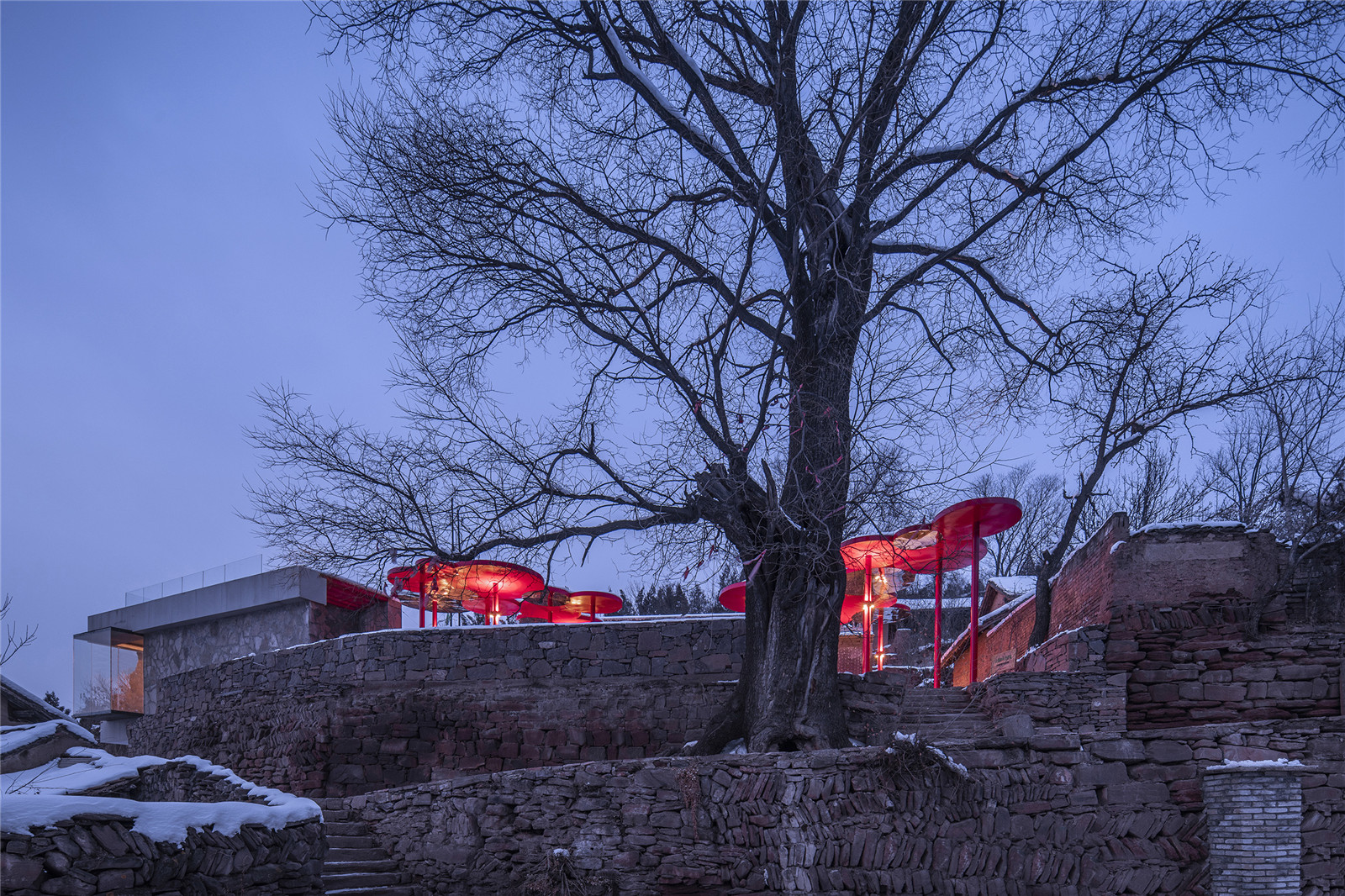 大槐樹和新元素 Big locust tree and new elements.jpg