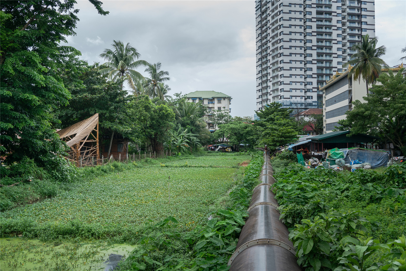 blue-temple-bamboo-playground-1.jpg