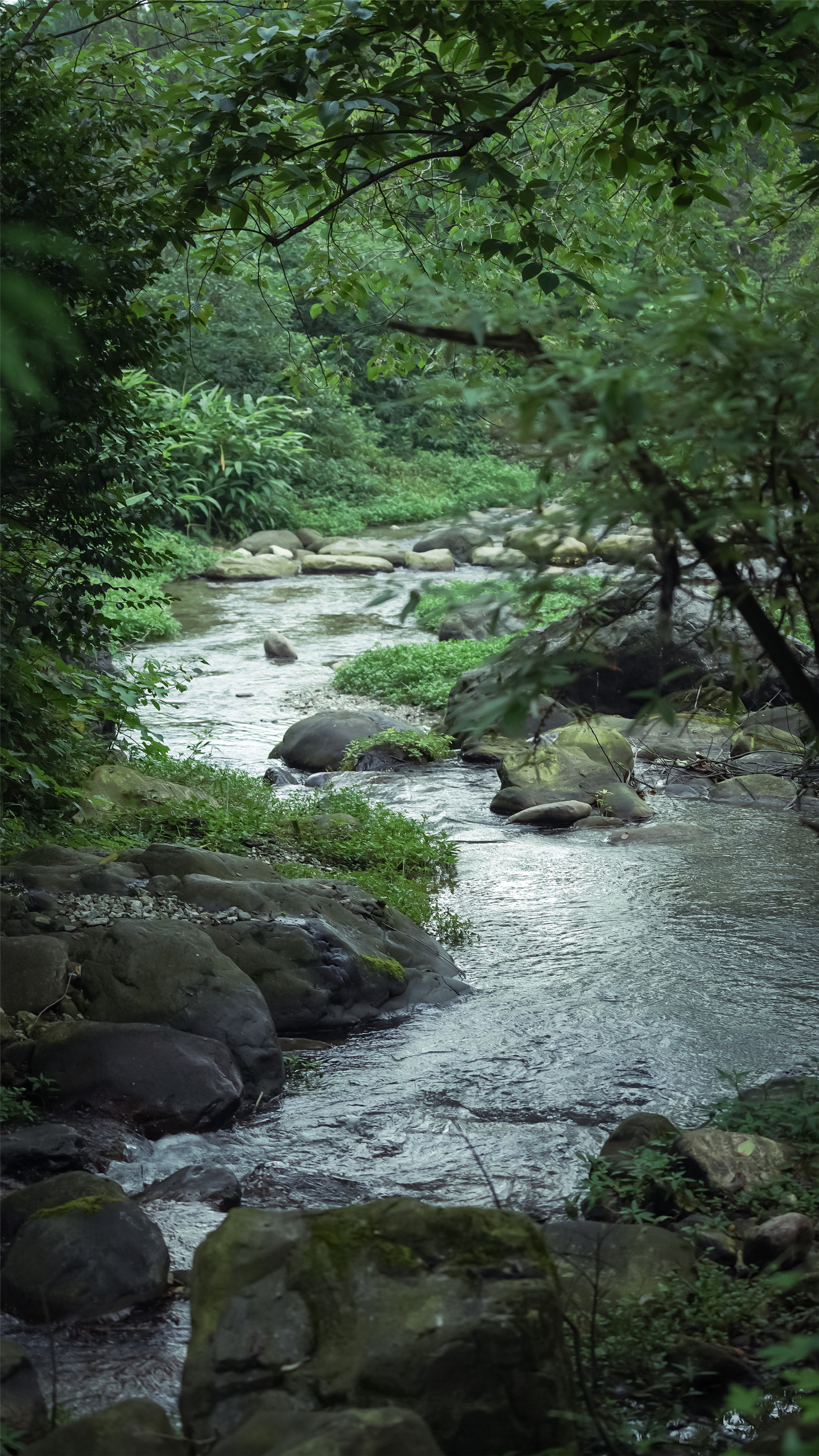 26-最大程度的保留了現(xiàn)狀巖石和野境林木?樂道景觀.jpg