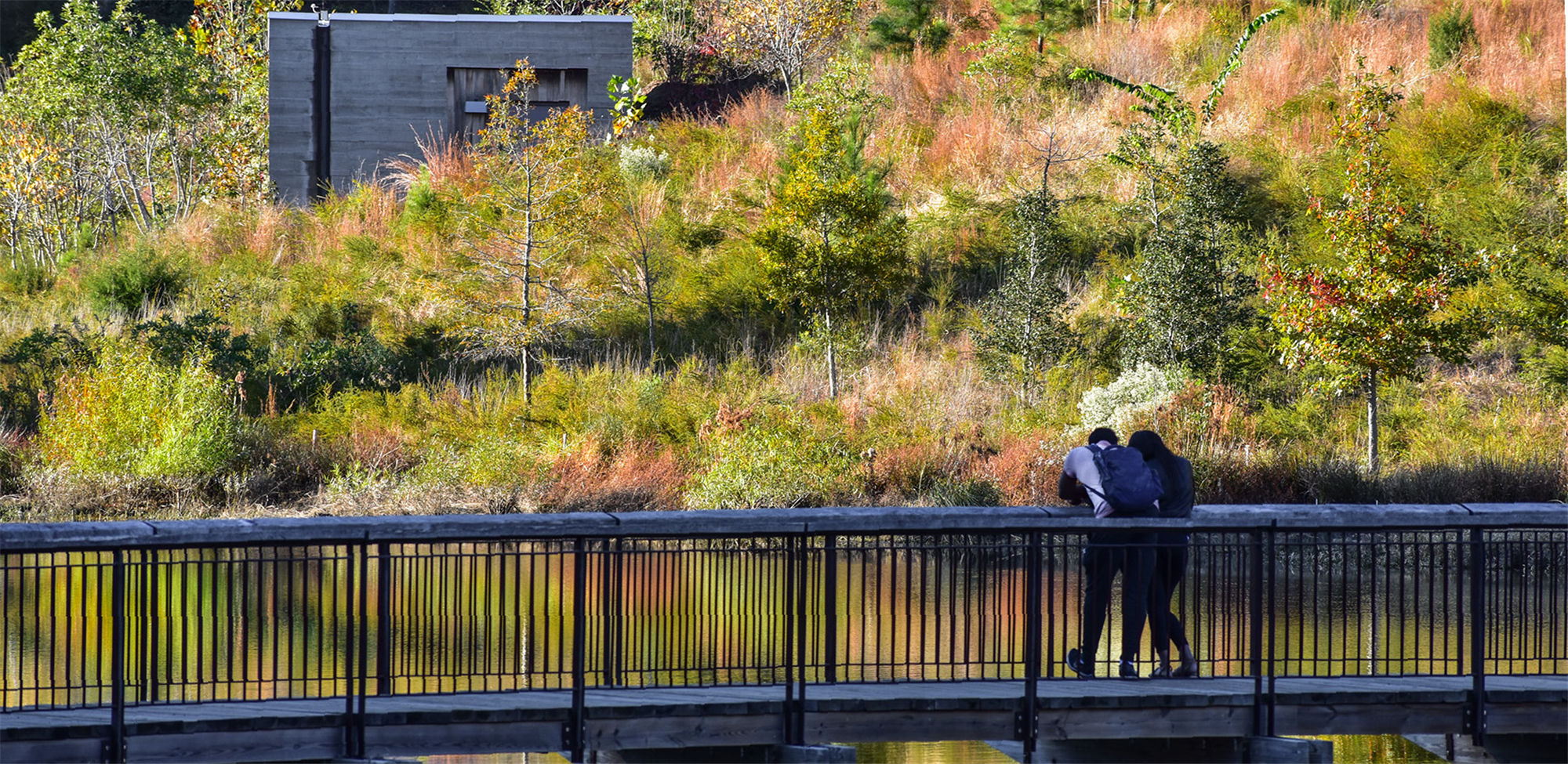 Duke University Water Reclamation Pond (12).jpg